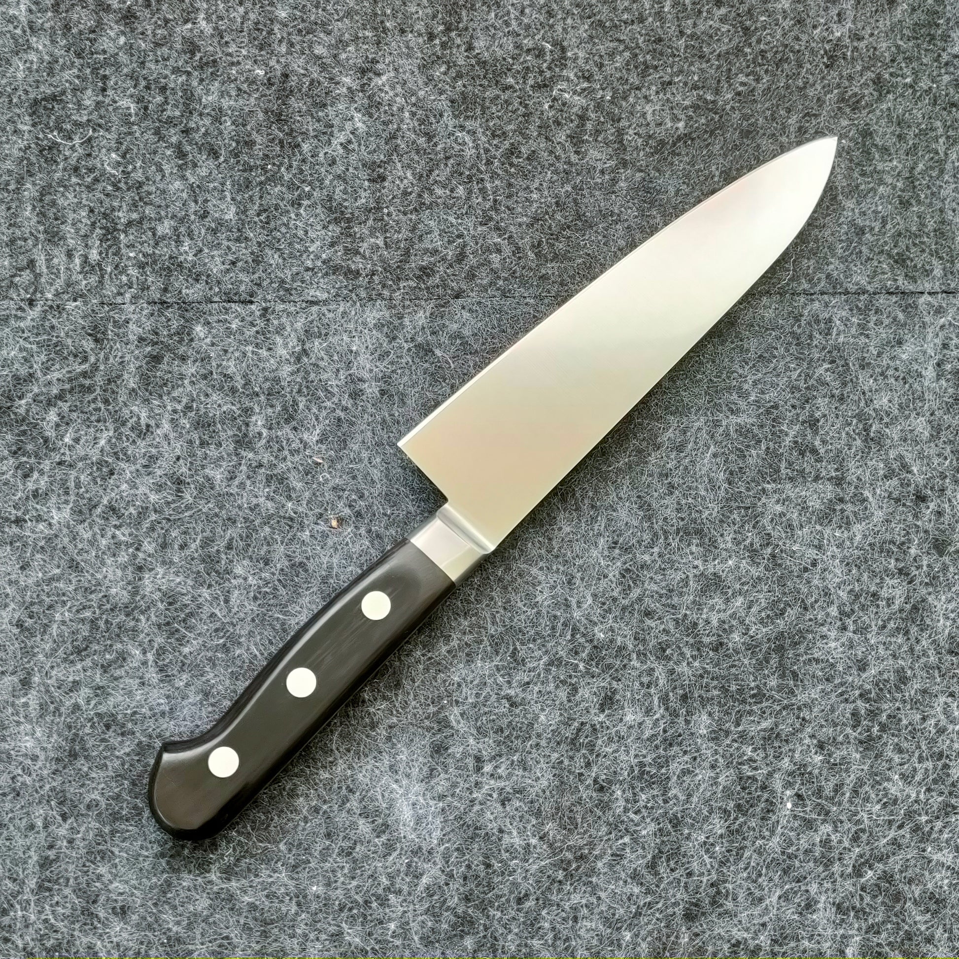 Sakai Kikumori | Standard | Gyuto 180mm | MV | Pakka