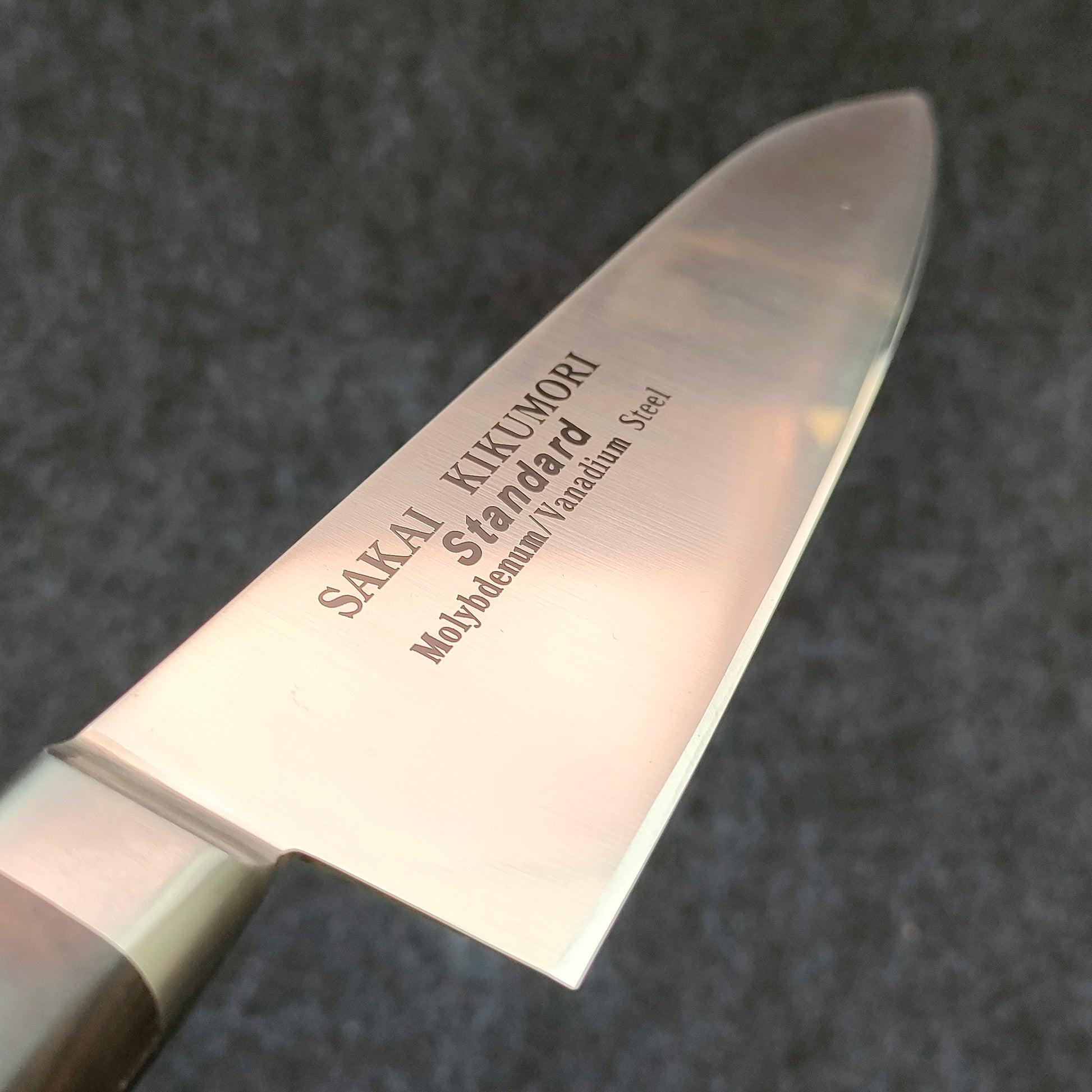 Sakai Kikumori | Standard | Gyuto 180mm | MV | Pakka