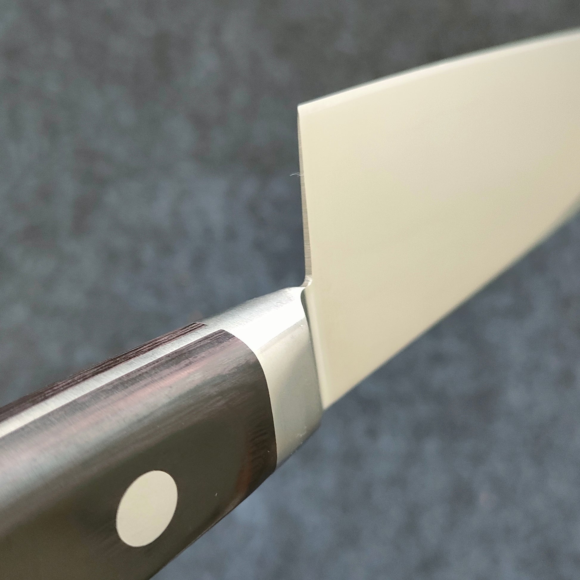 Sakai Kikumori | Standard | Gyuto 180mm | MV | Pakka