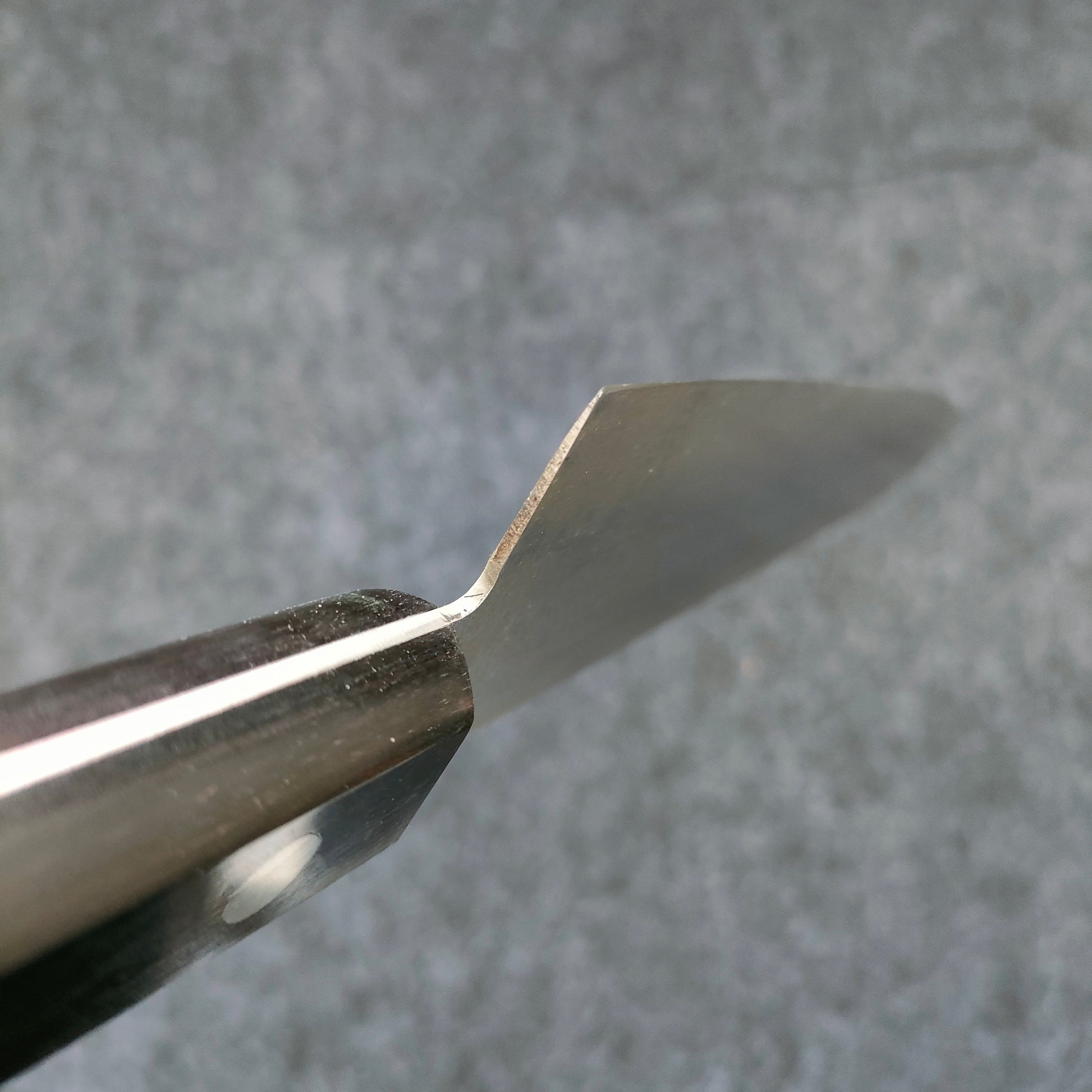 Minamoto no Sukehisa | Gyuto 210mm | SK | Pakka