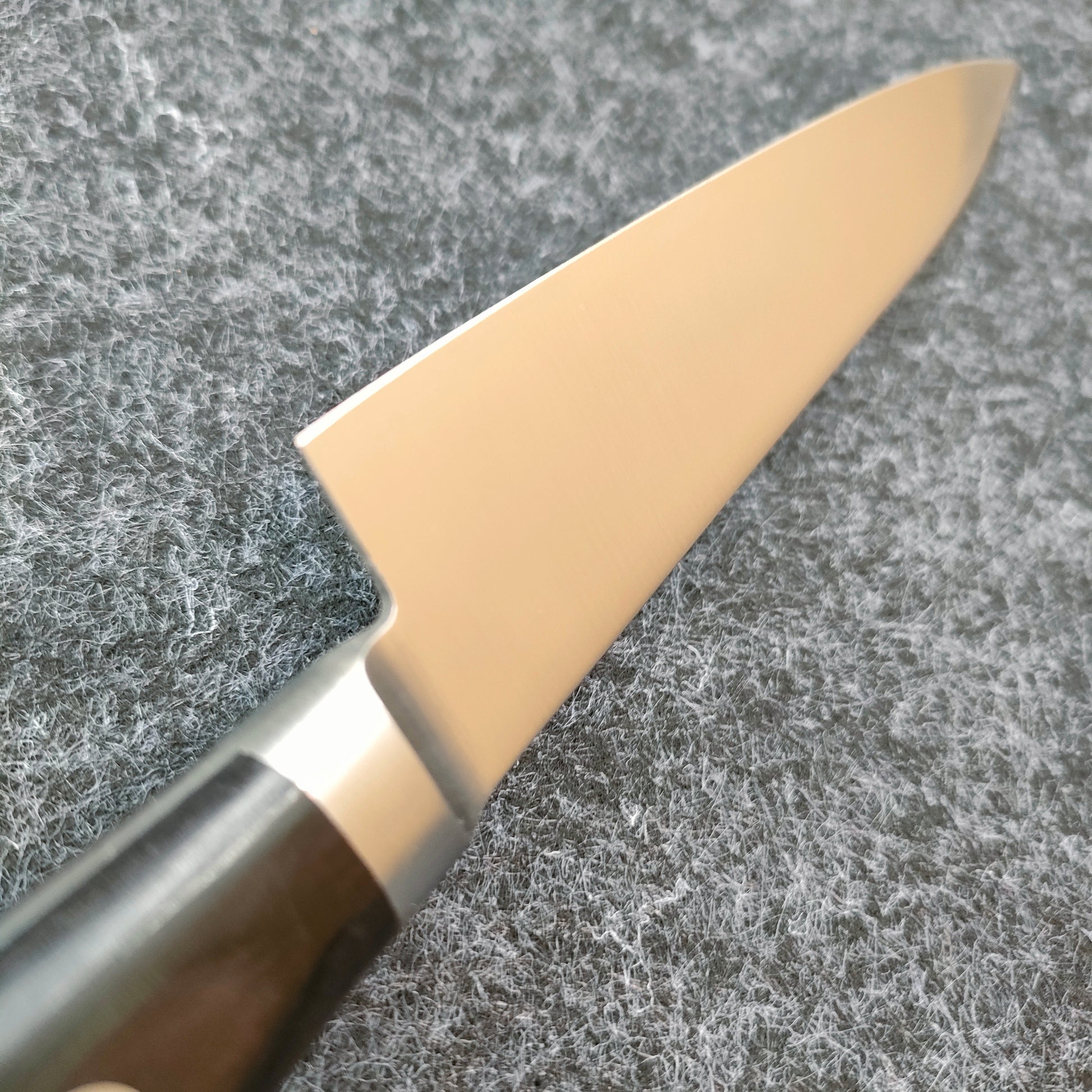 Tsunehisa | AUS8 | Petty 120mm