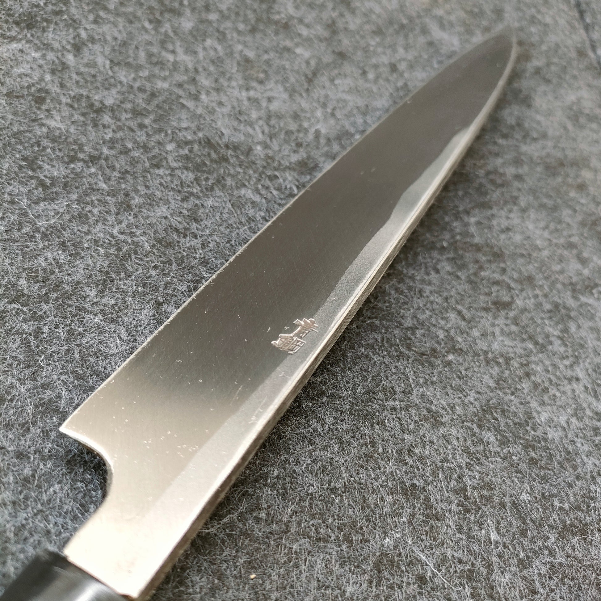 Shimatani | Yanagiba 240mm |  Aogami 2 | Magnolia