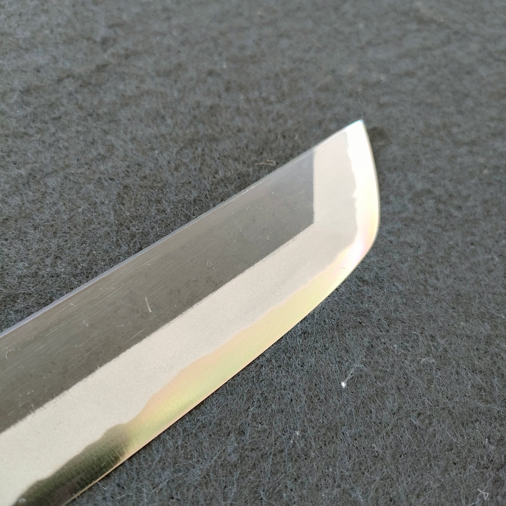 Tsunehisa | Kurouchi | Sakimaru 270mm | Aogami 2 | Rosewood