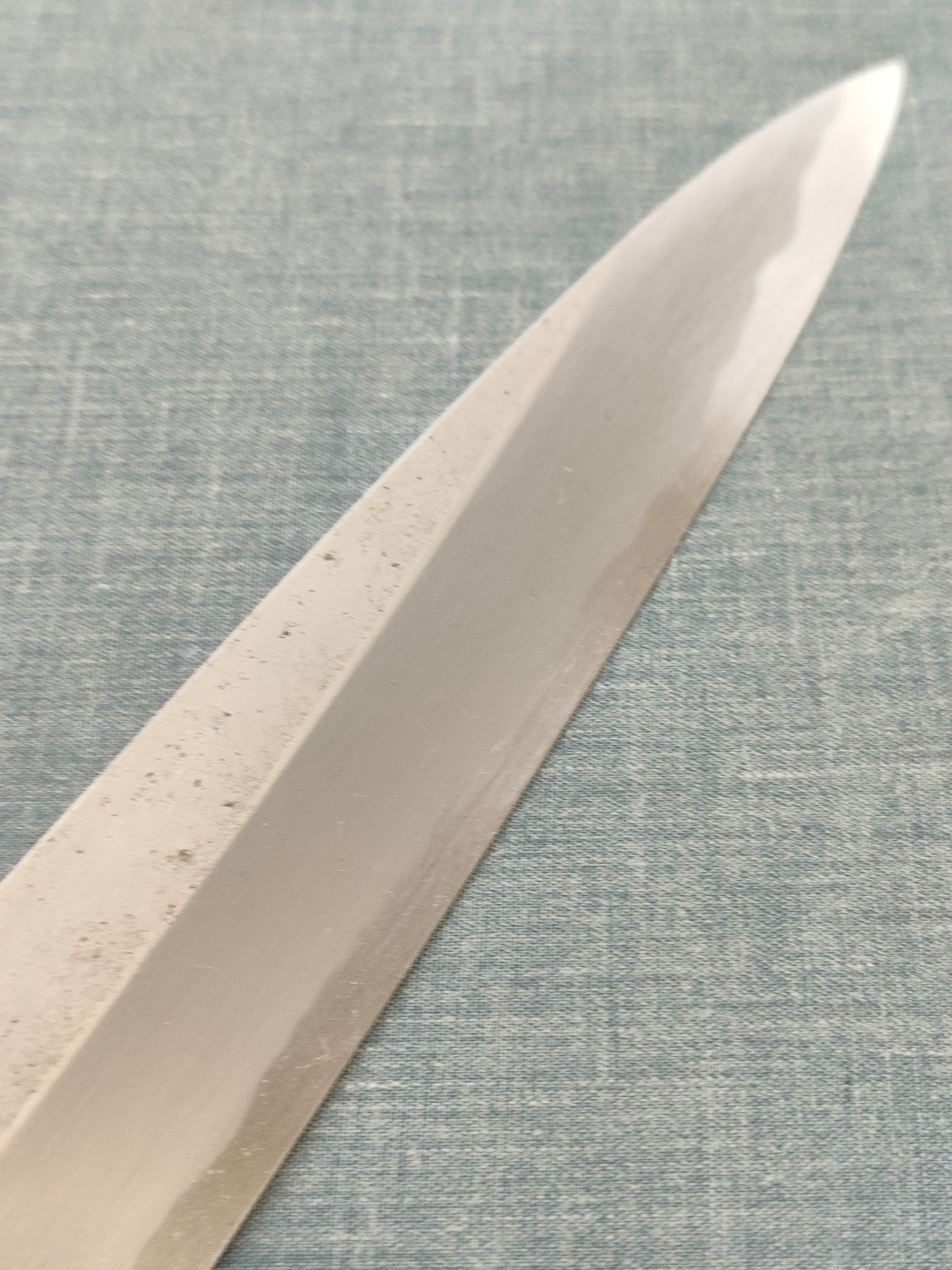 Sakai Kikumori | Kikuzuki Rin | Yanagiba 240mm | Horn Magnolia