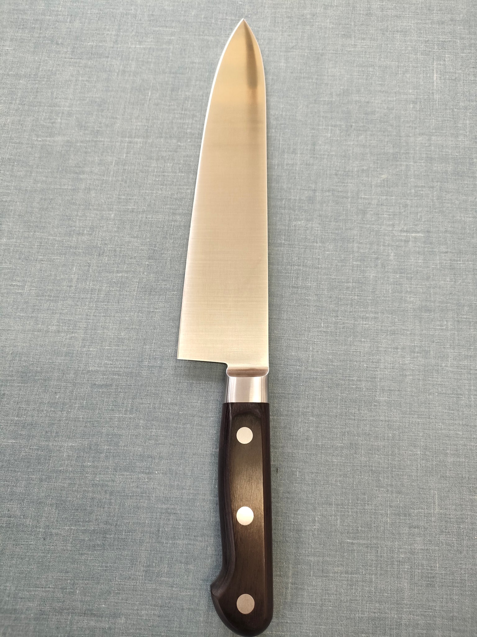 Sakai Kikumori | Standard |  Gyuto 240mm | MV | Pakka