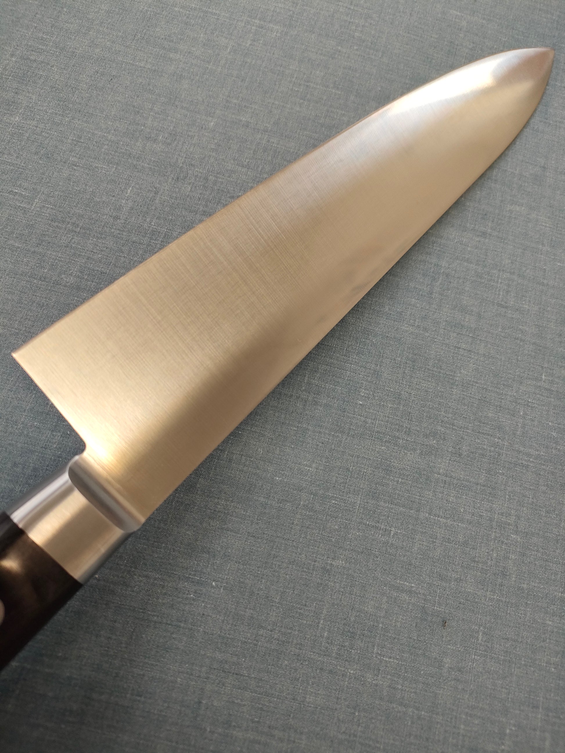 Sakai Kikumori | Standard |  Gyuto 240mm | MV | Pakka