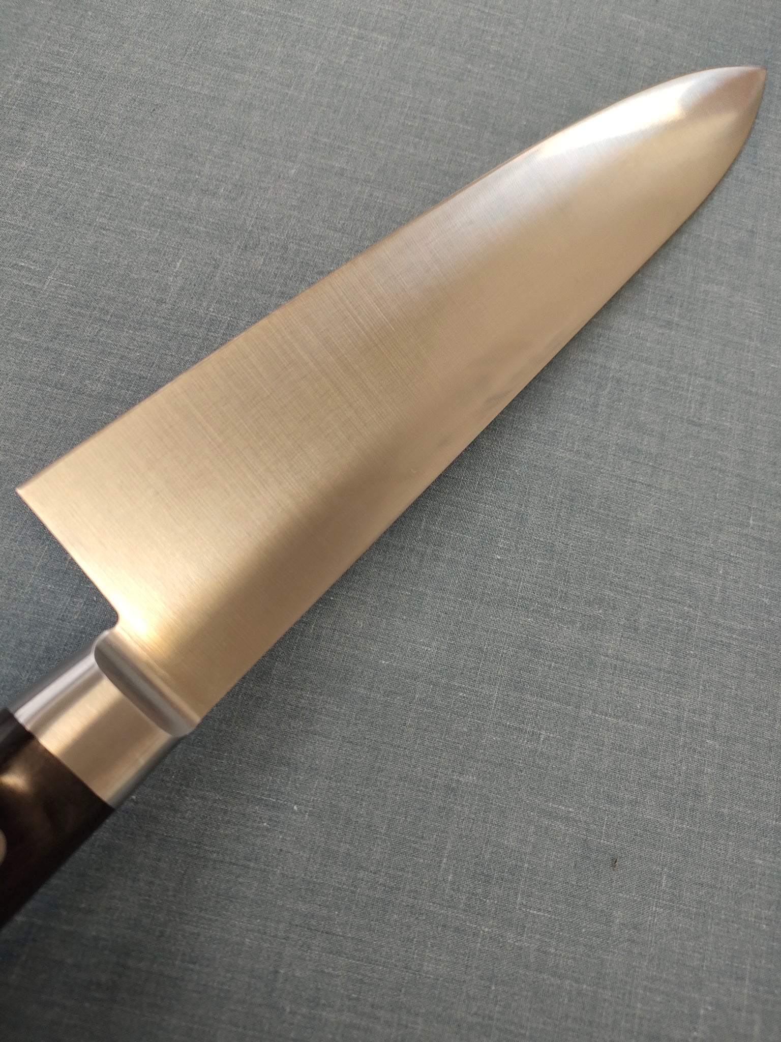 Sakai Kikumori | Standard |  Gyuto 240mm | MV | Pakka