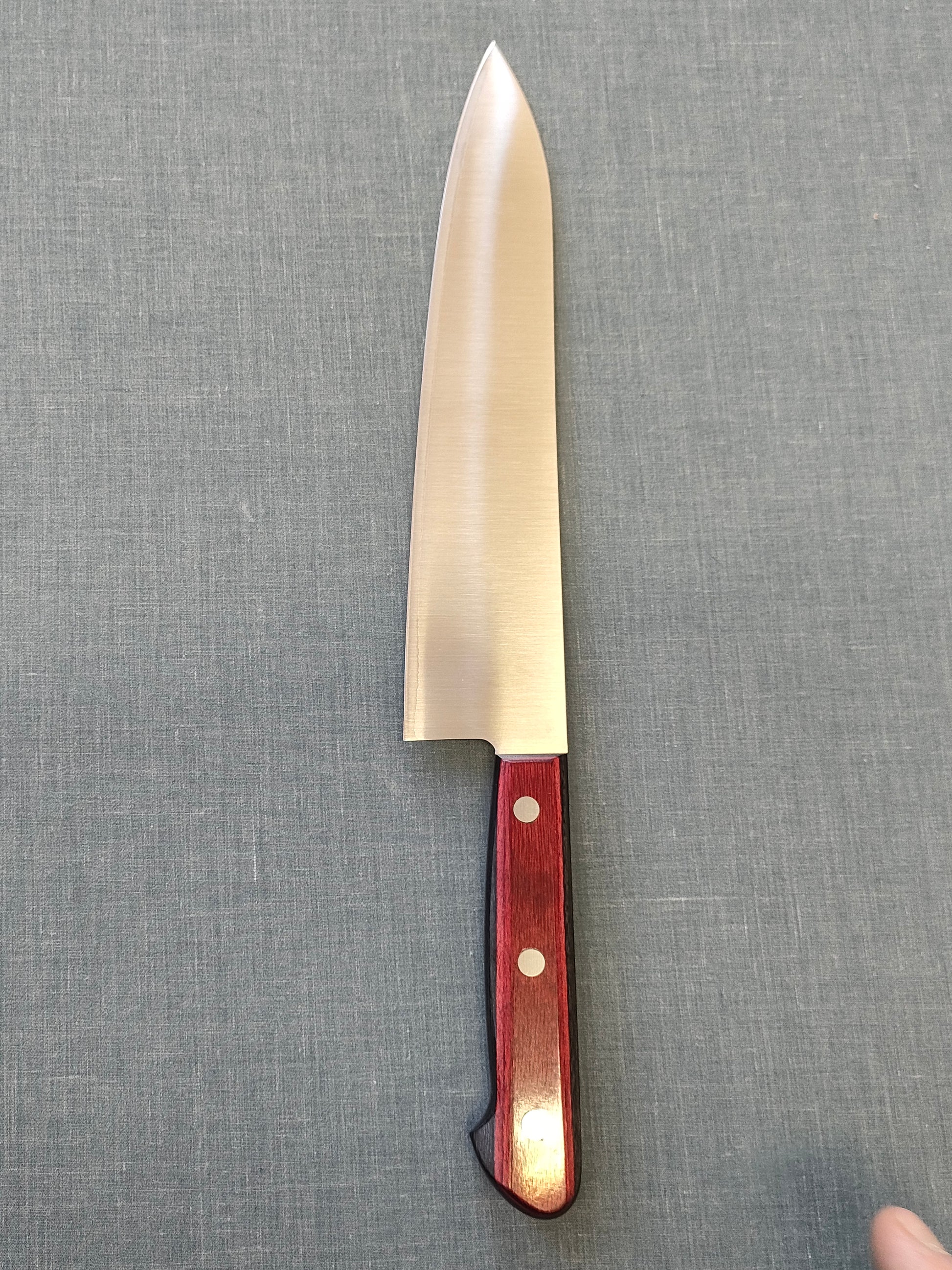 Tsunehisa | SLD | Gyuto 210mm | Red Pakka