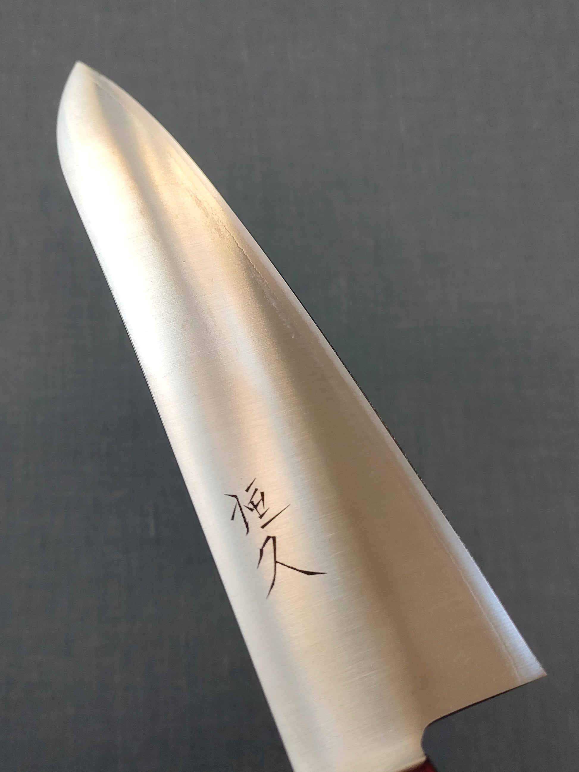 Tsunehisa | SLD | Gyuto 210mm | Red Pakka