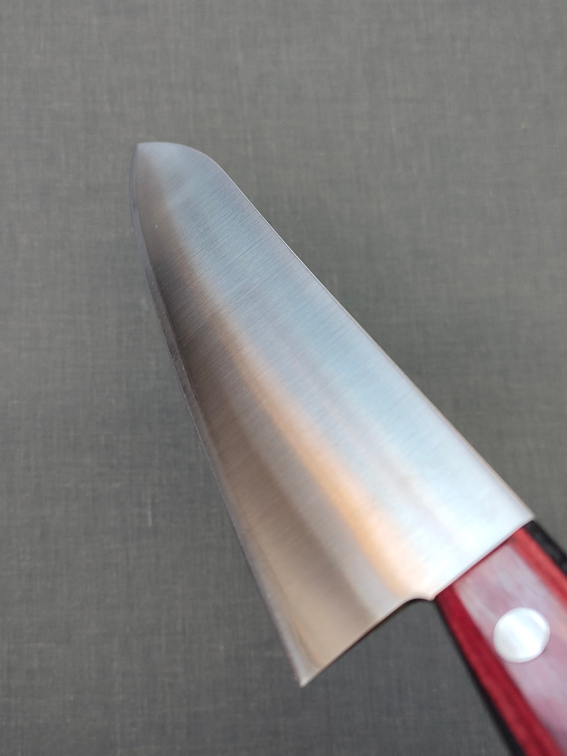 Tsunehisa | SLD | Gyuto 210mm | Red Pakka