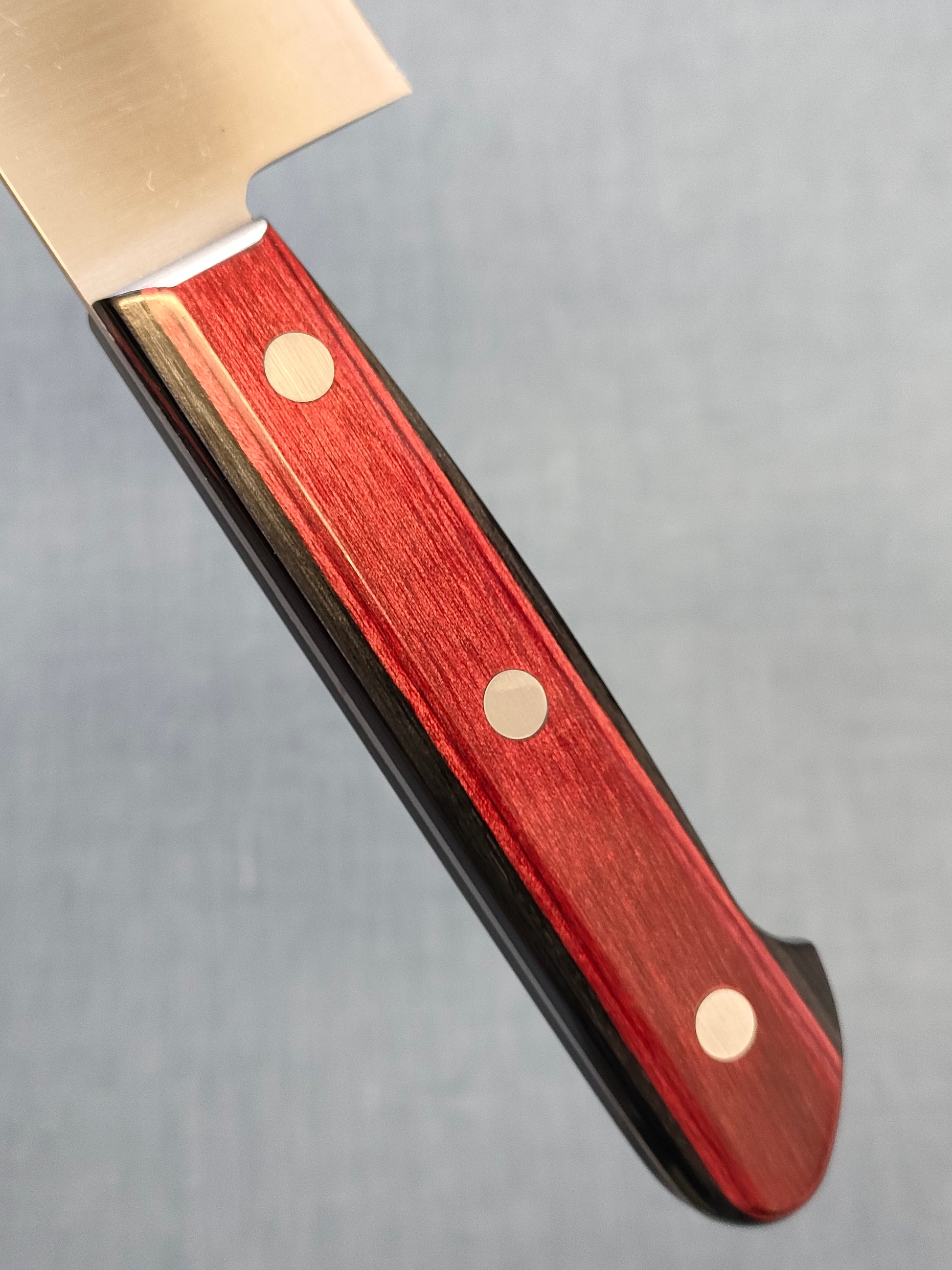 Tsunehisa | SLD | Gyuto 210mm | Red Pakka