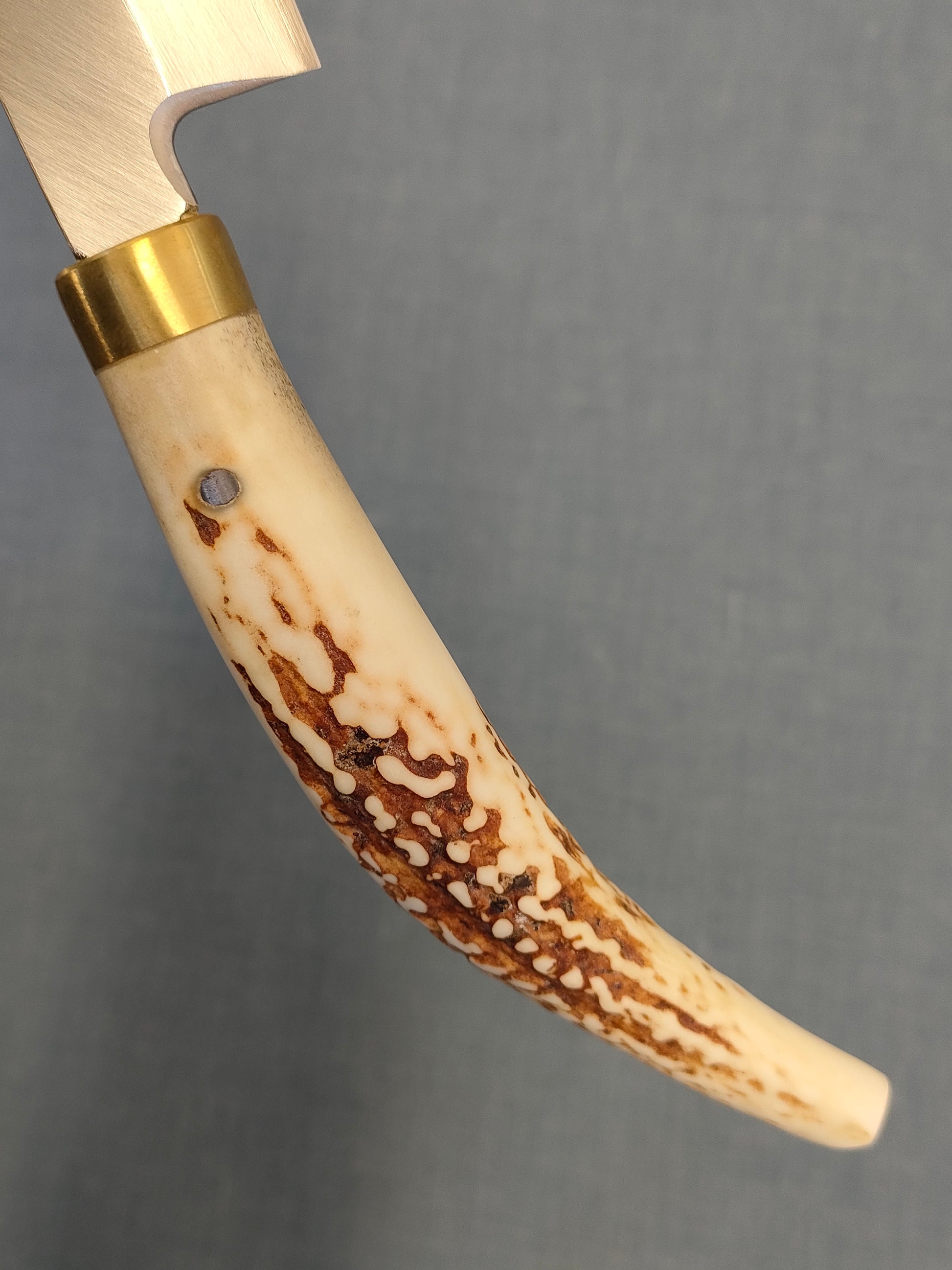 Saji Knives | Yanagiba 240mm | Ginsan 3 | Deer Horn