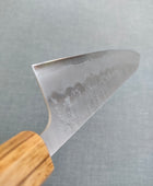 Tsunehisa | Nashiji | Gyuto 240mm | Ginsan 3 | Oak
