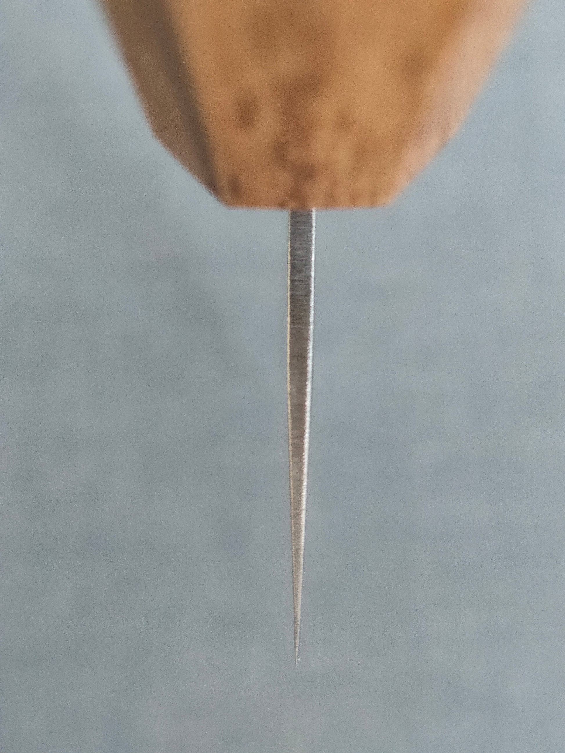 Tsunehisa | Nashiji | Gyuto 240mm | Ginsan 3 | Oak