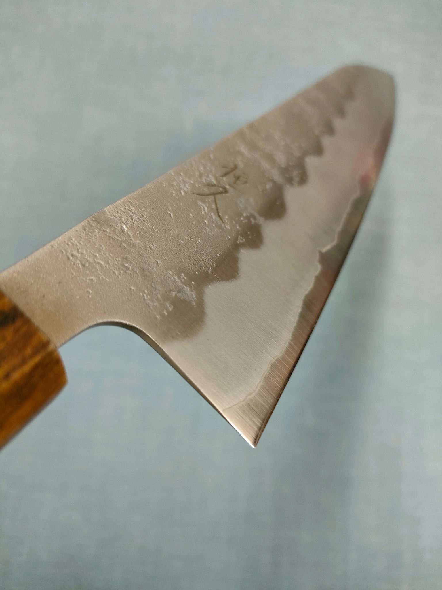 Tsunehisa Gyuto 210mm Ginsan 3 Dark Oak