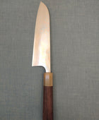 Saji Knives | Santoku 180mm | Rainbow Damascus | Aogami 2 | Rosewood White Horn