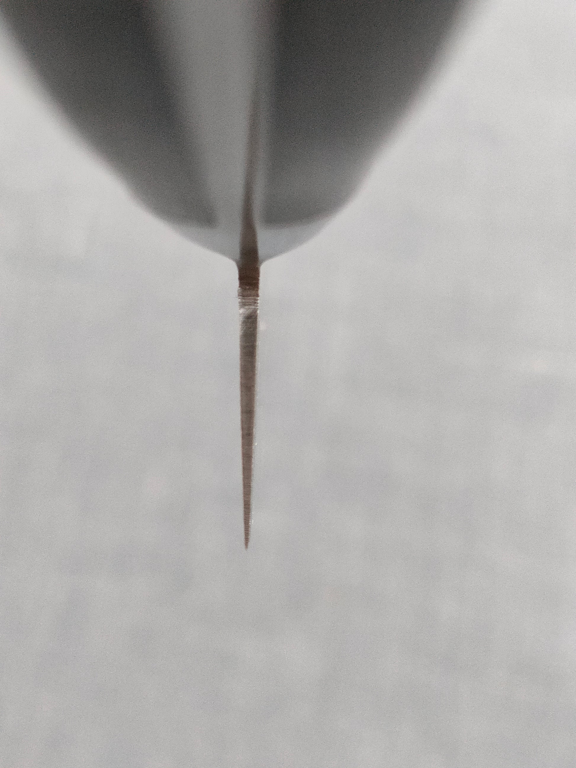 Tsunehisa | VG10 Honesuki | Pakka