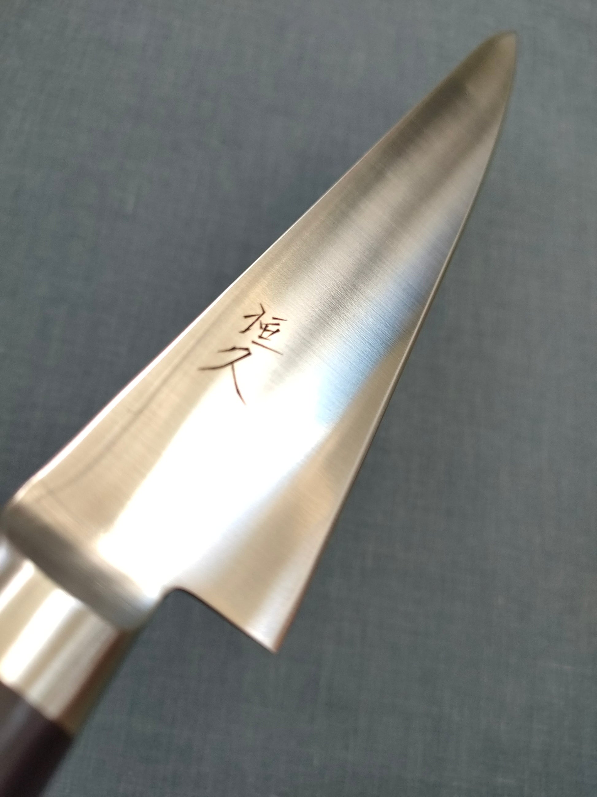 Tsunehisa | AUS8 | Sujihiki 240mm