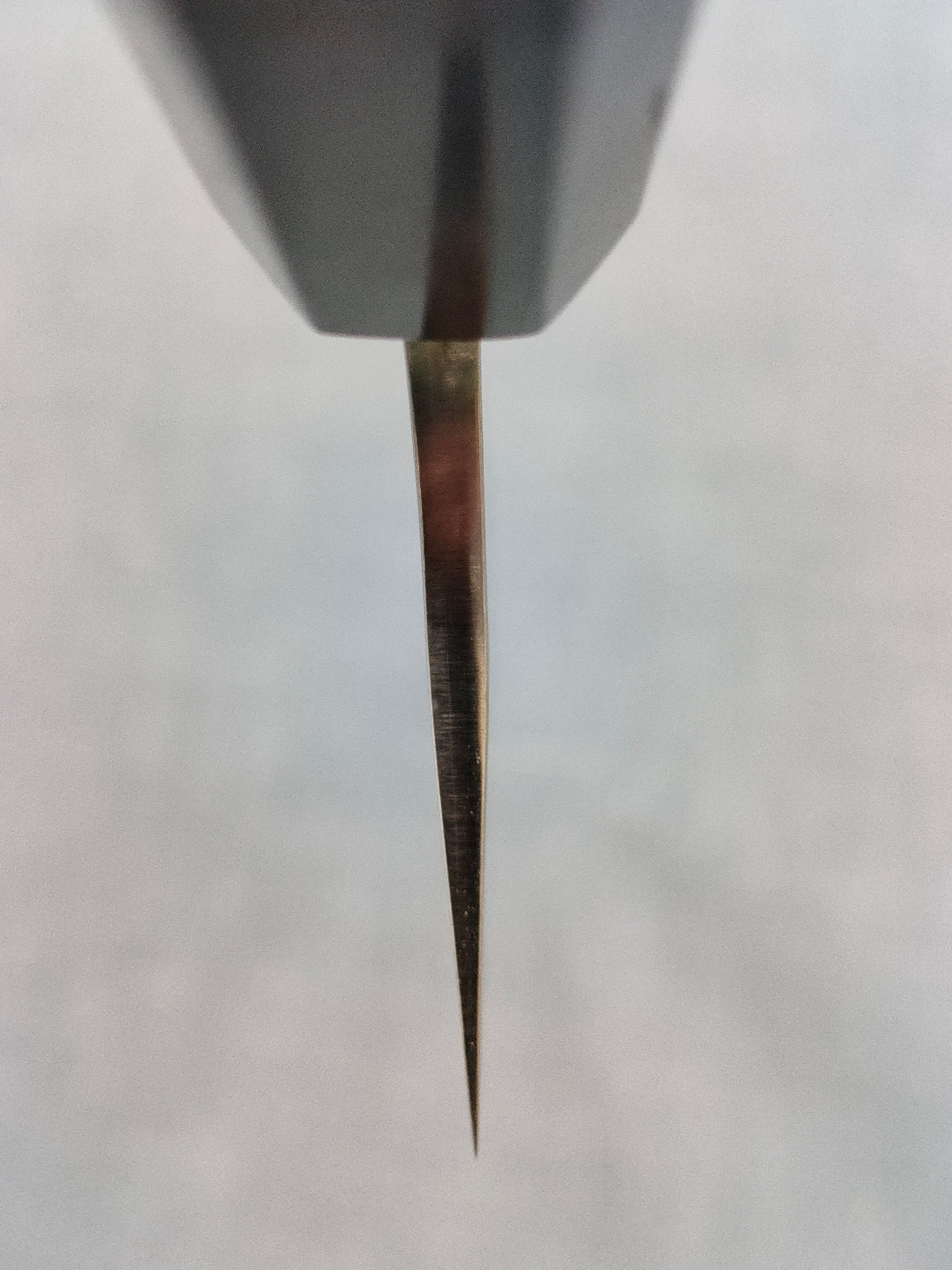 Yu Kurosaki | Fujin 240 Gyuto SG2 | Ebony & Horn