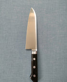 Tsunehisa | AUS8 | Santoku 165mm