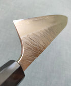 Yu Kurosaki | Fujin 240 Gyuto SG2 | Ebony & Horn