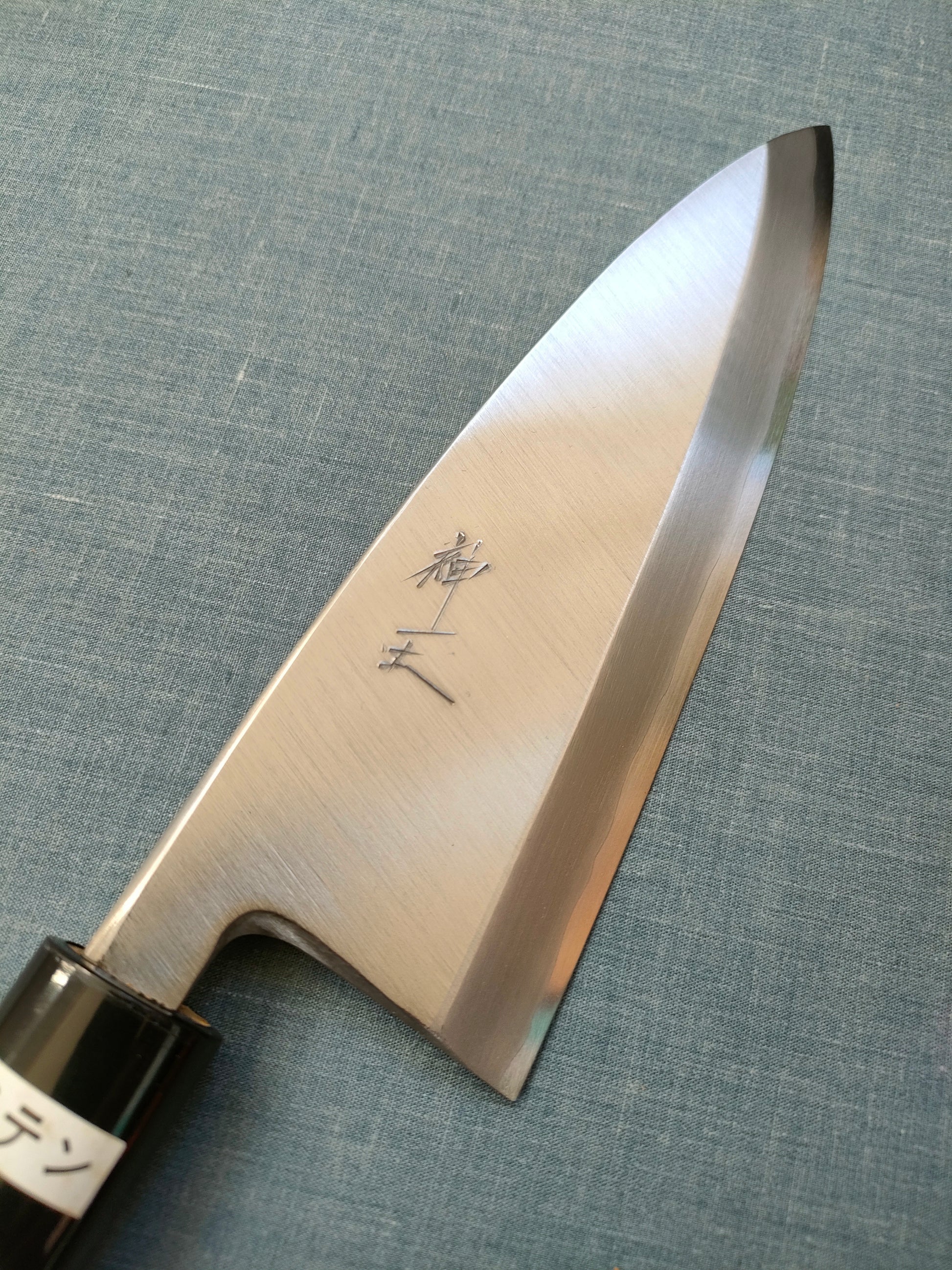 Shin-ou | Deba 170mm | VG10 | Magnolia