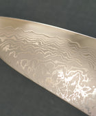 Tsunehisa | Forged VG10 Damascus | Gyuto 210mm | Ebony