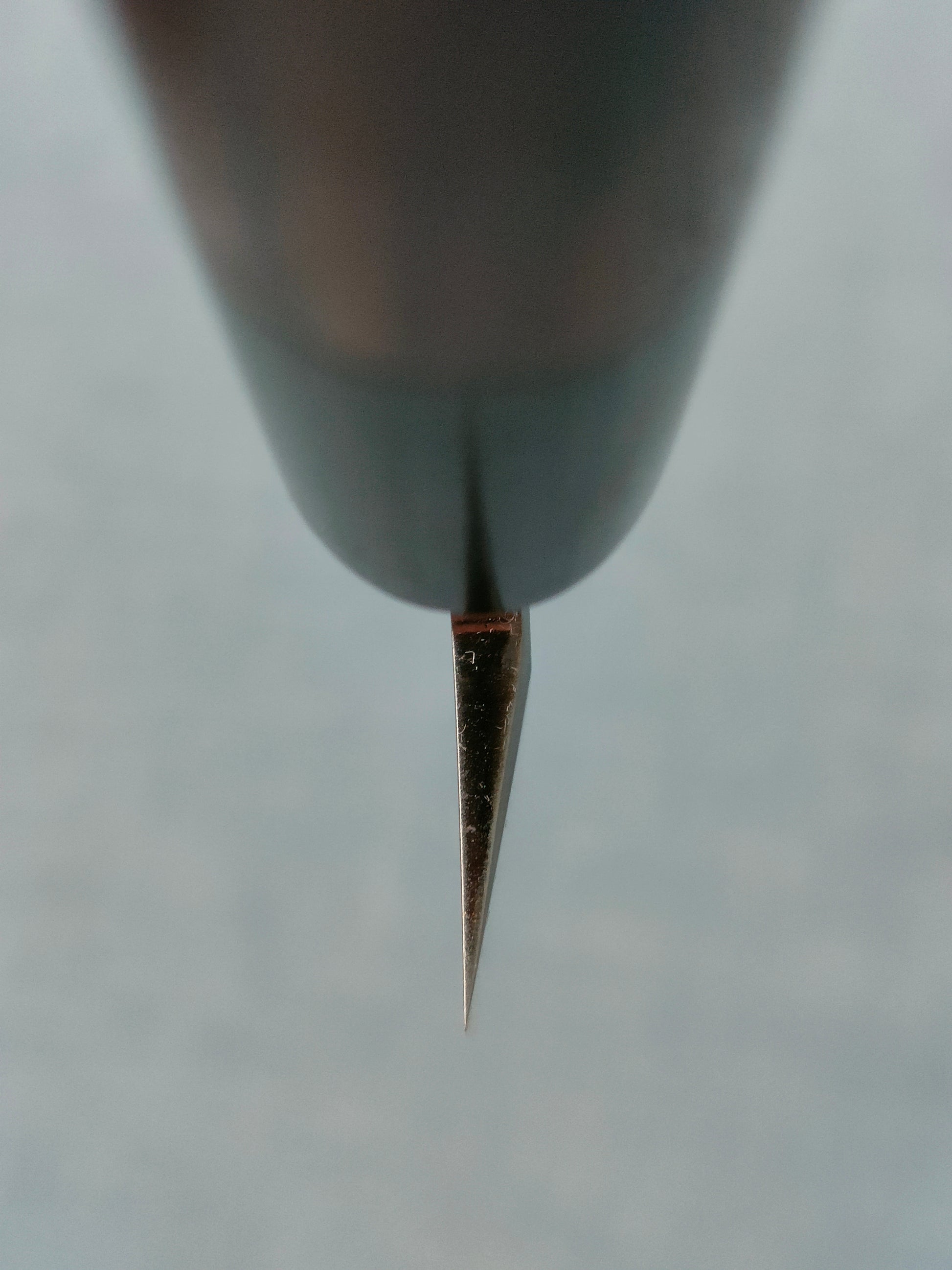 Tsunehisa | AUS8 | Yanagiba 240mm | Rosewood