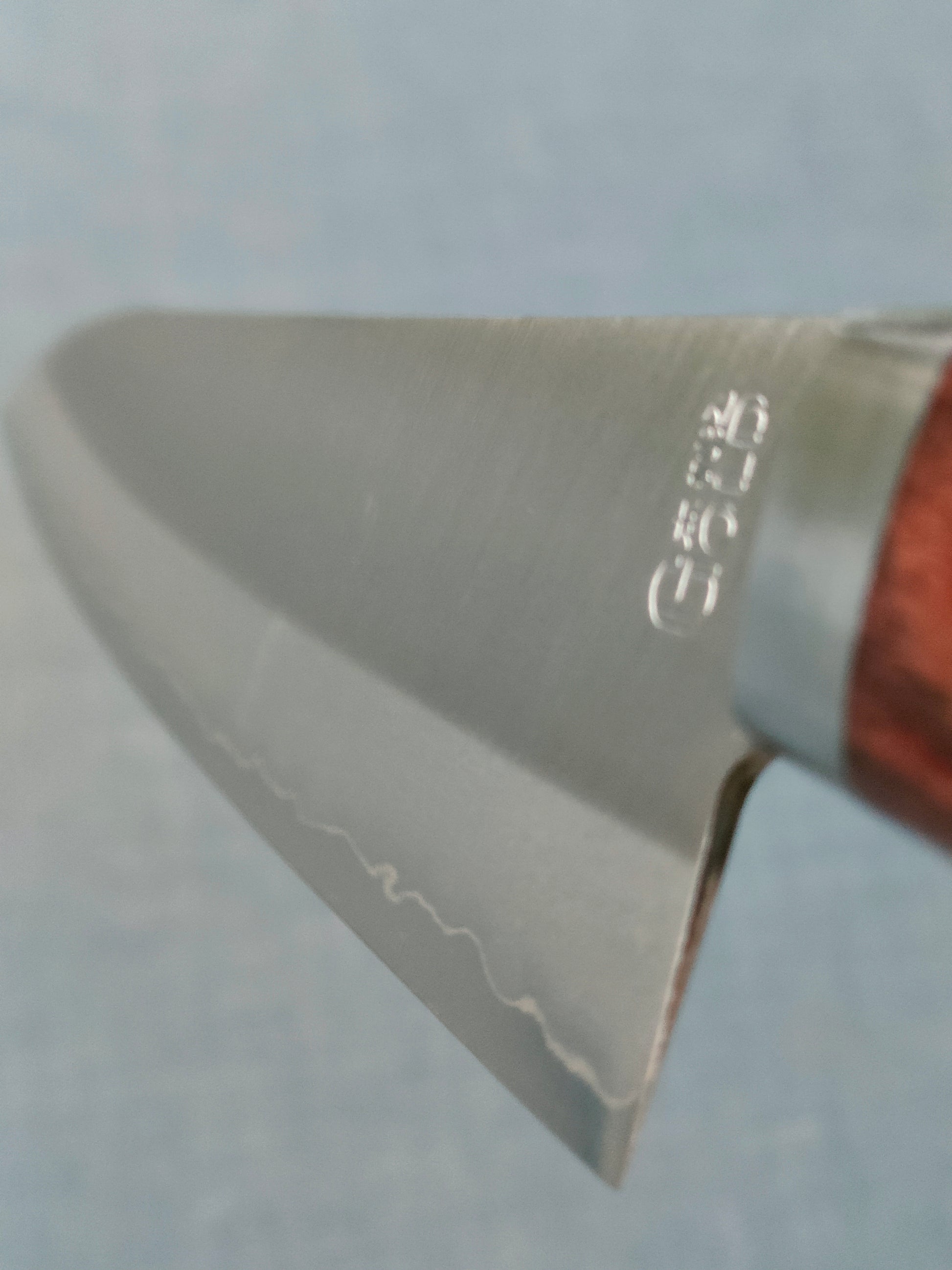 Tsunehisa | VG1 | Gyuto 180mm | Brown Pakka