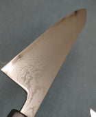 Tsunehisa | Forged VG10 Damascus | Gyuto 210mm | Ebony