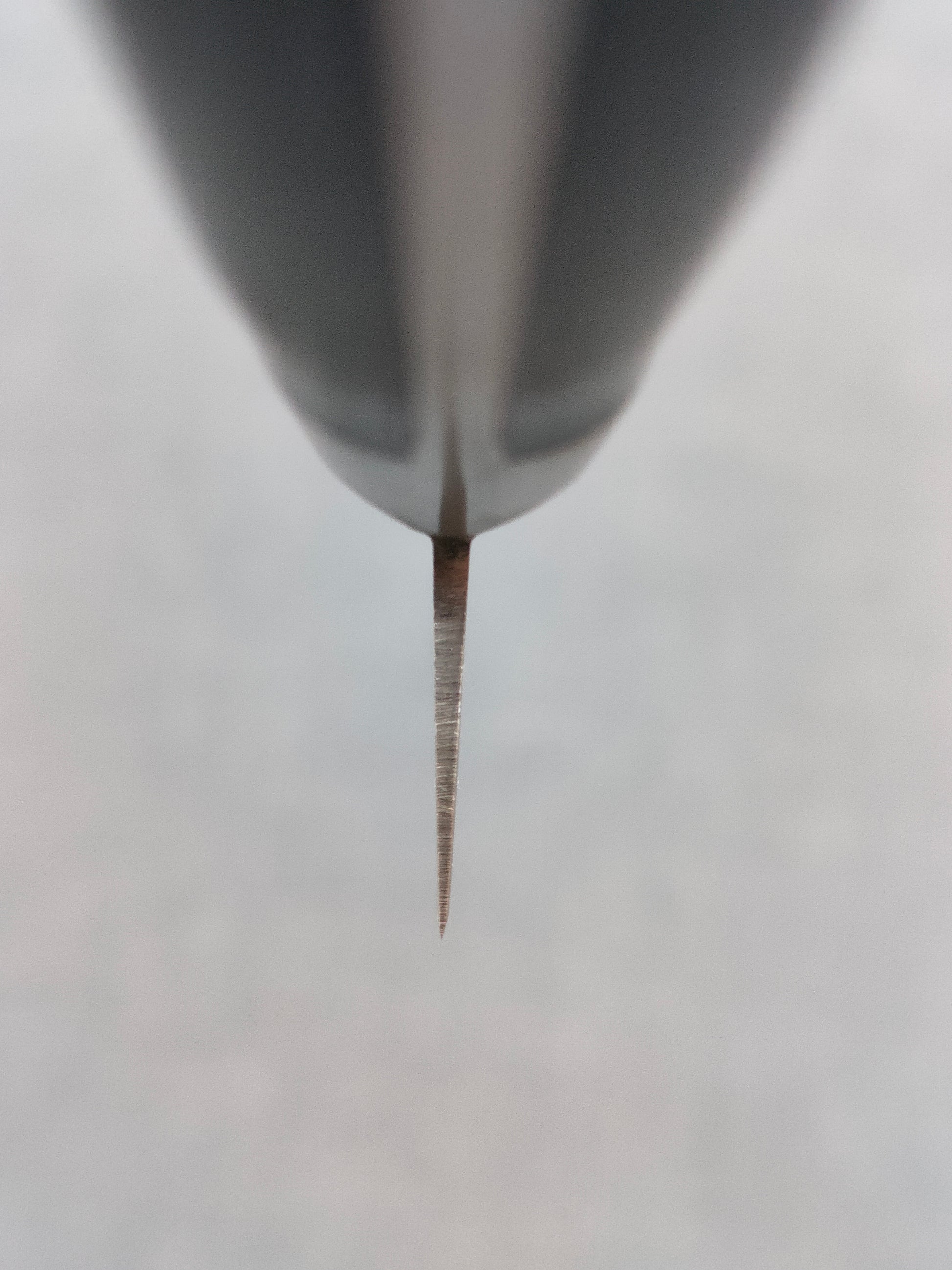 Tsunehisa | AUS8 | Sujihiki 240mm